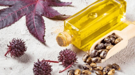 Castor Oil in the Belly Button: What It Does and What Science Says