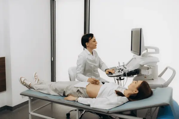 Medical professional performing ultrasound scan with handheld transducer