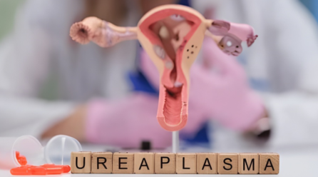 Ureaplasma Explained: Causes, Symptoms & Treatment Options