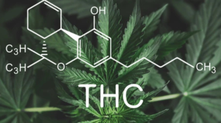 Effects and Risks of Delta-8, Delta-9 & Delta-10 THC