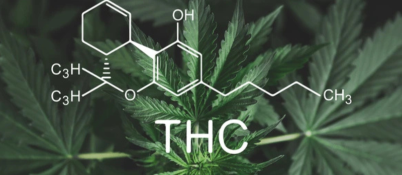 Effects and Risks of Delta-8, Delta-9 & Delta-10 THC