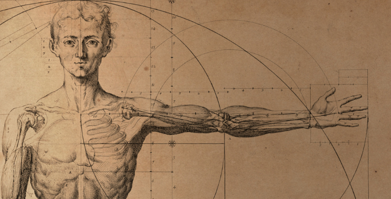 The Veins Vercel