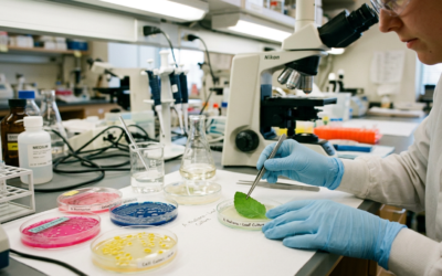 Discover how nutrient-sensing compound