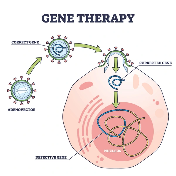 Medical vector diagram illustrating adenovector gene delivery and therapeutic gene transfer into a target cell nucleus for vascular repair.