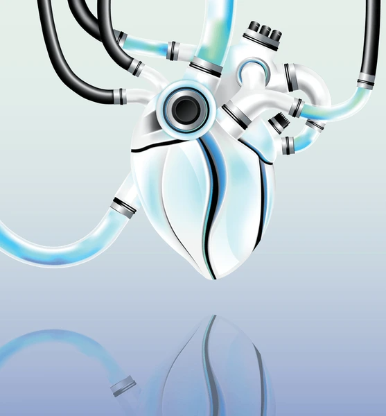 Advanced bionic artificial heart mechanical device with inflow and outflow vascular conduits for biventricular circulatory support.