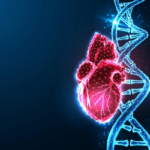 CRISPR Heart Disease - Genetic Editing Cardiac Concept 3D polygonal glowing heart alongside a double helix DNA strand symbolizing CRISPR gene editing for heart disease prevention.