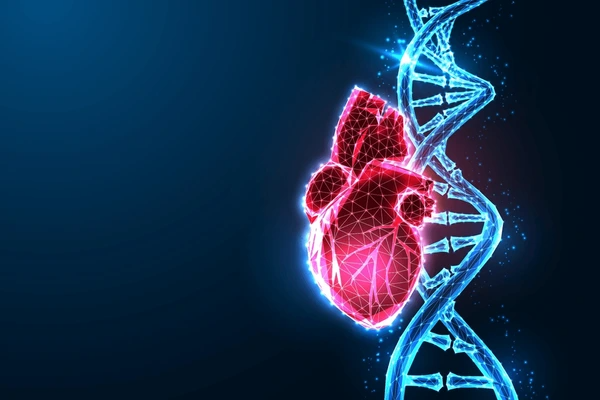 3D polygonal glowing heart alongside a double helix DNA strand symbolizing CRISPR gene editing for heart disease prevention.